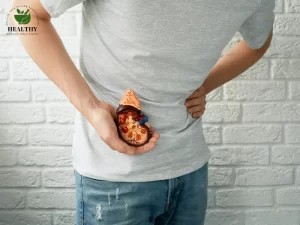 Kidney Stones: Causes, Symptoms & Prevention With Natural Remedies by Healthy Indian Solutions